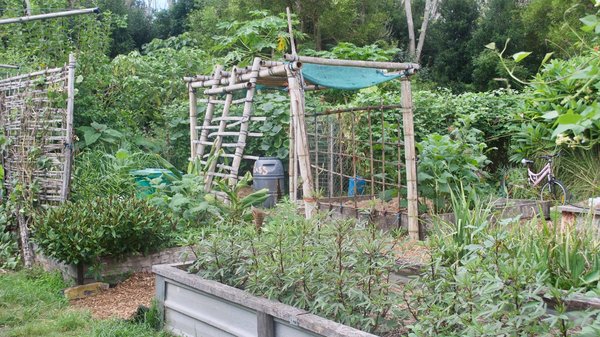 Quelles sont les techniques de permaculture applicables dans un jardin de taille moyenne?