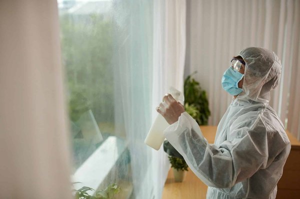 Entreprise antinuisibles : comprendre son fonctionnement et son importance